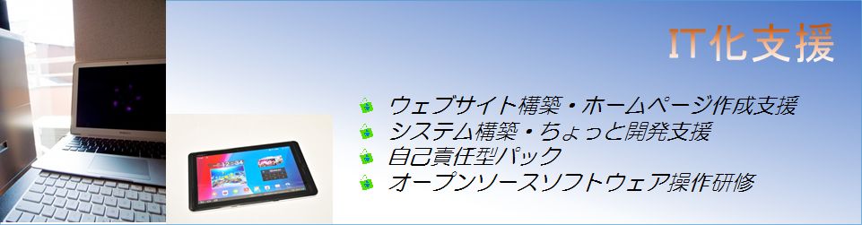 新保ＩＴ経営研究所